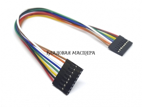 Роз'єми перемичка Dupont 20 см 8PIN «розетка-розетка» фото 1 Роз'єми перемичка Dupont 20 см 8PIN «розетка-розетка» фото 1