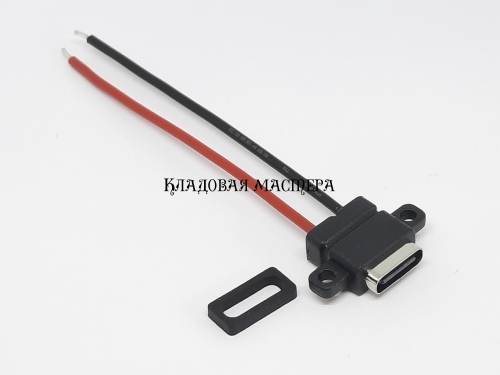 Гніздо USB type-C горизонтальний 2pin з дротами 6 см фото 1