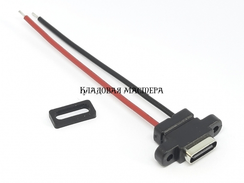 Гніздо USB type-C вертикальний 2pin з дротами 6 см фото 1